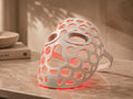 Rubaris LED Face Mask